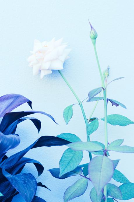 FOTOGRAFIA: Il neon nelle fotografie di Cru Camara