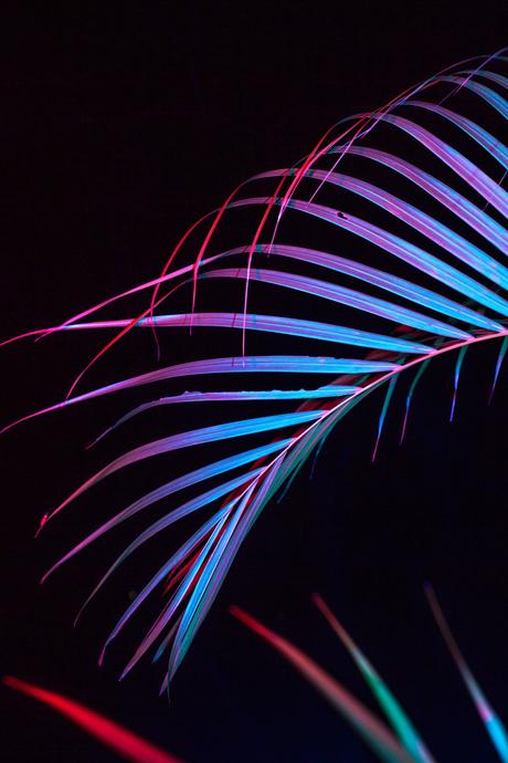 FOTOGRAFIA: Il neon nelle fotografie di Cru Camara