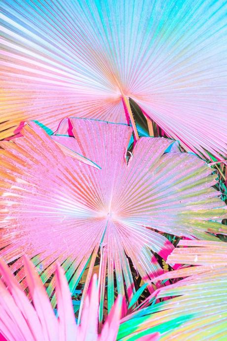 FOTOGRAFIA: Il neon nelle fotografie di Cru Camara