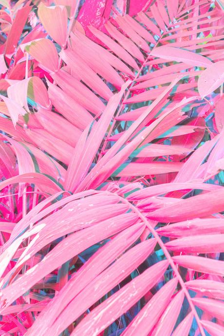 FOTOGRAFIA: Il neon nelle fotografie di Cru Camara