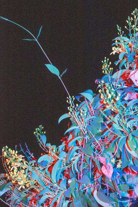 FOTOGRAFIA: Il neon nelle fotografie di Cru Camara