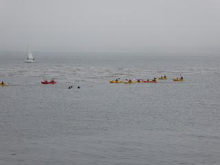 Monterey, Carmel, 17 Mile Drive, Santa Barbara, Santa Monica, California, USA