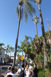 Monterey, Carmel, 17 Mile Drive, Santa Barbara, Santa Monica, California, USA