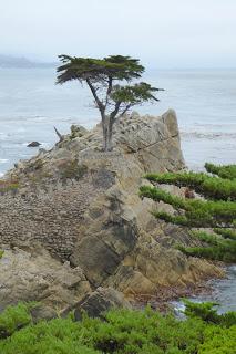 Monterey, Carmel, 17 Mile Drive, Santa Barbara, Santa Monica, California, USA