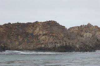 Monterey, Carmel, 17 Mile Drive, Santa Barbara, Santa Monica, California, USA