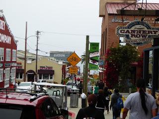 Monterey, Carmel, 17 Mile Drive, Santa Barbara, Santa Monica, California, USA