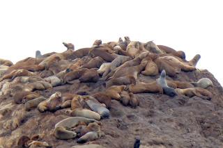 Monterey, Carmel, 17 Mile Drive, Santa Barbara, Santa Monica, California, USA