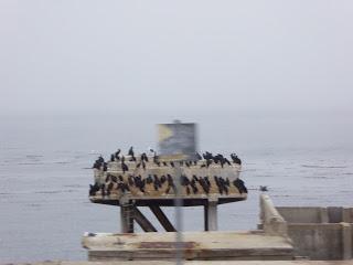 Monterey, Carmel, 17 Mile Drive, Santa Barbara, Santa Monica, California, USA