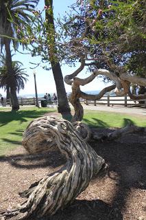 Monterey, Carmel, 17 Mile Drive, Santa Barbara, Santa Monica, California, USA