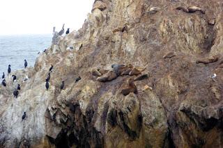 Monterey, Carmel, 17 Mile Drive, Santa Barbara, Santa Monica, California, USA