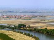 PAVIA. Monviso Pavia l’agricoltura pavese protagonista domenica RAI1 Linea Verde.