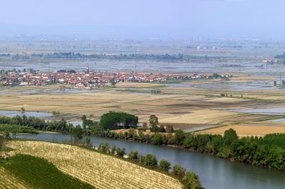 PAVIA. Il Po dal Monviso a Pavia e l’agricoltura pavese protagonista domenica su RAI1 a Linea Verde.