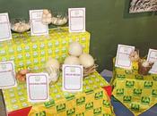 MILANO. EXPO giornata mondiale dell’uovo: arriva dalla Lombardia.