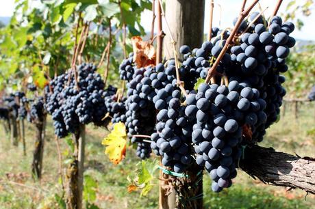 THE TABLE OF CHIANTI - POETRY LEONARDO MANETTI