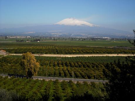 Zone di produzione riqualificate_Carmito_Oranfrizer