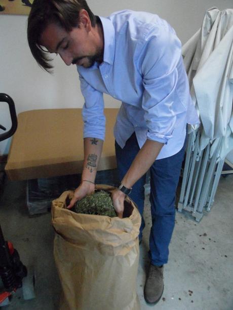 Mistico Speziale, l’azienda italiana che produce assenzio e distillati a chilometro zero