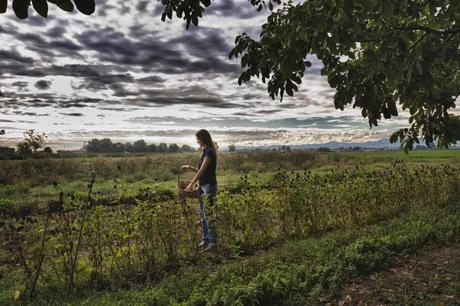 Mistico Speziale, l’azienda italiana che produce assenzio e distillati a chilometro zero