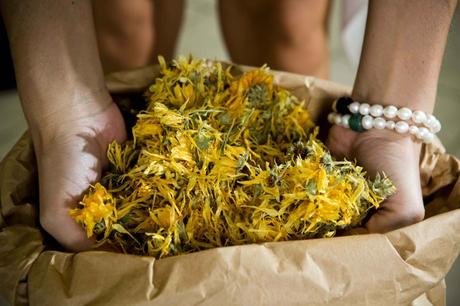 Mistico Speziale, l’azienda italiana che produce assenzio e distillati a chilometro zero