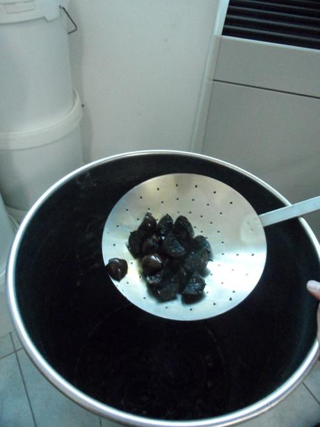 Le noci messe a macerare nell'alcol per il nocino