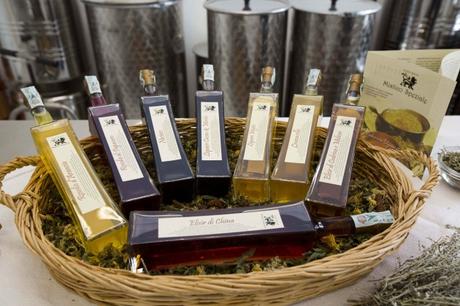 Mistico Speziale, l’azienda italiana che produce assenzio e distillati a chilometro zero