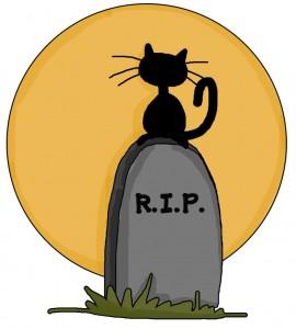 Rip_cat