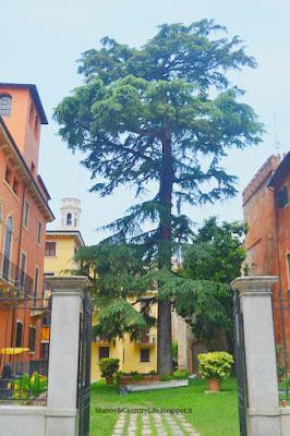 { Scorci d'Italia : Veneto }