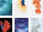 Download sfondi piu’ belli iPhone Wallpapers bellissimi