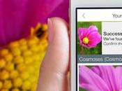 LikeThat iPhone Android scatta foto identificare fiore