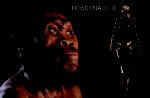 homo_naledi_nuovo_ominide (3)
