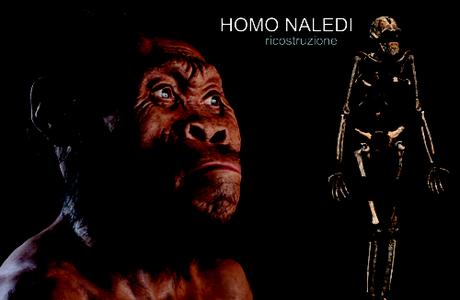 homo_naledi_nuovo_ominide (3)