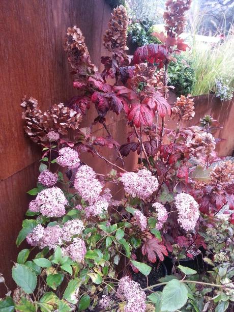 orticolario, blossom zine  giardino Concluso con tatto di Roberto Benatti di Giardini Benatti