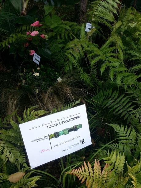 orticolario, blossom zine stand giardino evoluzione 2