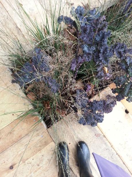 orticolario, blossom zine Uniti da un filo verde progettata da Silvia Ghirelli per lo spazio All'Origine