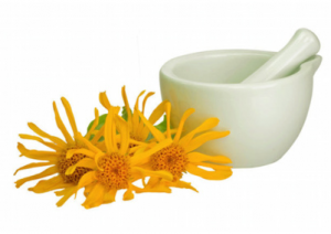 Arnica omeopatica nella terapia della sepsi