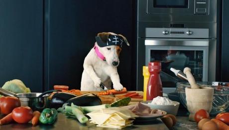 Martedi 13 Ottobre sui canali Sky Cinema HD e Sky 3D