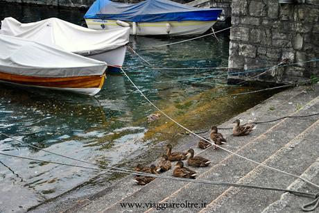 Quel ramo del Lago di Como: la bellezza di Menaggio