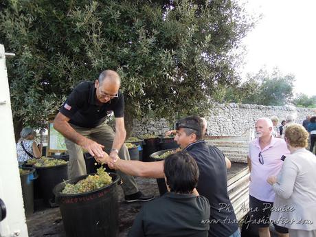 Viaggio in Puglia: il borgo caratteristico di Locorotondo