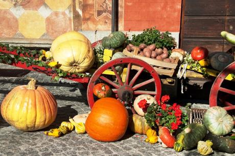 Fuori di Zucca: la regina delle manifestazioni autunnali piemontesi