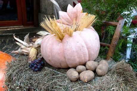 Fuori di Zucca: la regina delle manifestazioni autunnali piemontesi