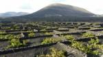 Lanzarote, tra viticoltura eroica e suggestioni culinarie/1