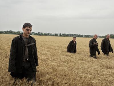 Cinque risposte sul volo MH17 abbattuto in Ucraina