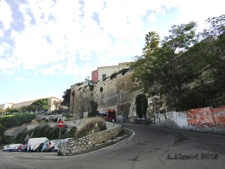 Via del Cammino Nuovo 1970-2015