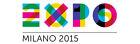 DUE BIGLIETTI EXPO MILANO 2015 DATA APERTA ADULTI