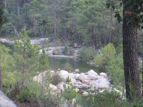 Corsica-  ghjurnata dui