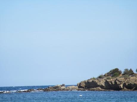 Corsica-  ghjurnata dui