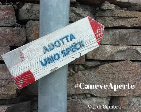 Val di Cembra: Caneve Aperte