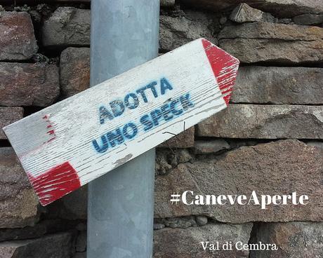 Val di Cembra: Caneve Aperte Val di Cembra: Caneve Aperte