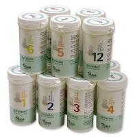 Sali Schüssler cosa sono e benefici