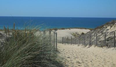 Cap Ferret: Herbe e la rue des chiens qui dorment