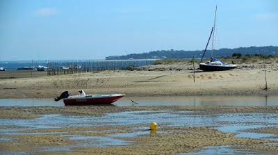 Cap Ferret: Herbe e la rue des chiens qui dorment